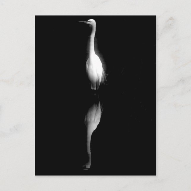 Postal Foto de grúa en blanco y negro (Anverso)