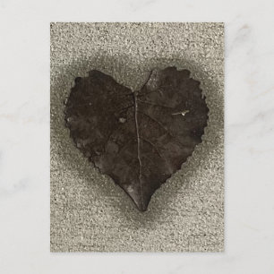 Postal Foto de hoja en forma de corazón húmeda en la acer