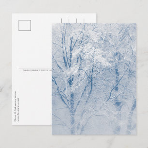 Postal Foto de invierno de árboles cubiertos de nieve