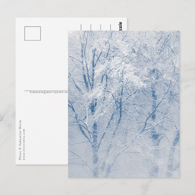 Postal Foto de invierno de árboles cubiertos de nieve (Anverso / Reverso)