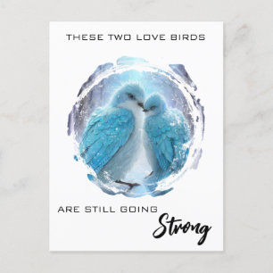 Postal *~* Foto de invierno Pájaros de amor AP54 Aniversa