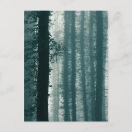 Postal Foto de Ivy Forest Nature