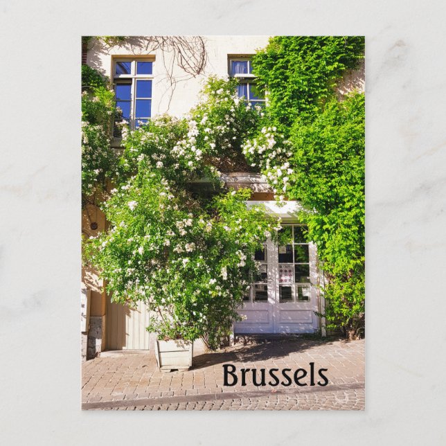 Postal Foto de la calle Bruselas Bélgica (Anverso)