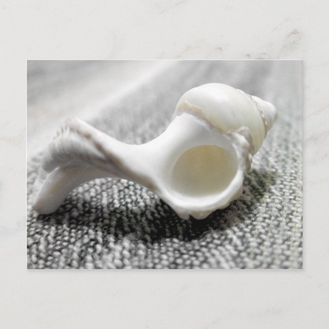 Postal Foto de la cubierta marina de Black & White Beach (Anverso)