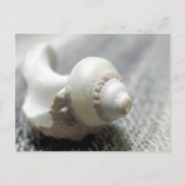 Postal Foto de la cubierta marina de Black & White Beach