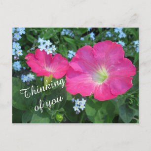 Postal Foto de la flor rosa de Petunia pensando en ti