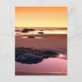 Postal Foto de la línea de sol del puerto de Brookings