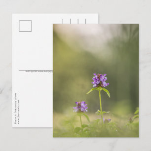 Postal Foto de la naturaleza de la flor morada
