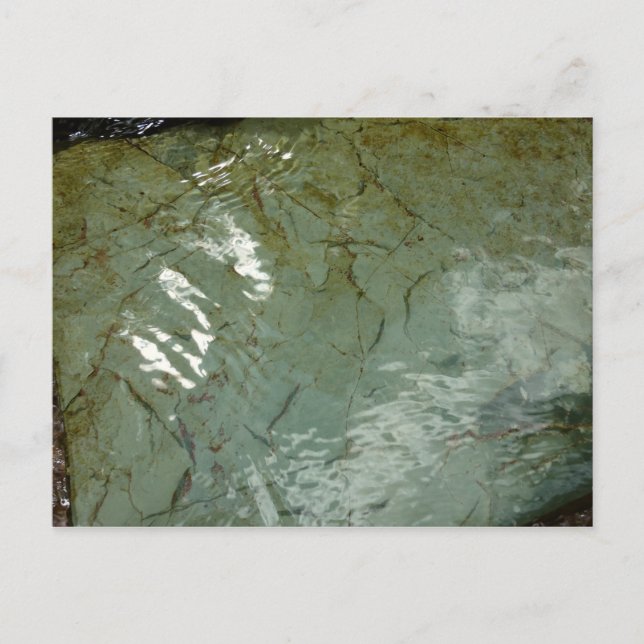 Postal Foto de la naturaleza de la losa cubierta de agua (Anverso)