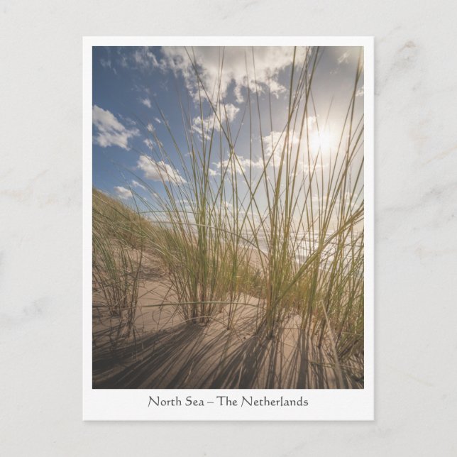 Postal Foto de la naturaleza de la playa y del sol (Anverso)