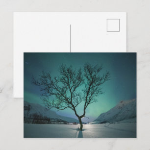Postal Foto de la naturaleza de las luces del norte