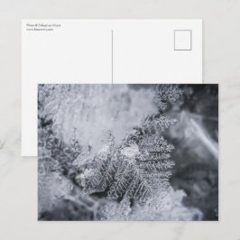 Postal Foto de la naturaleza del cristal de hielo