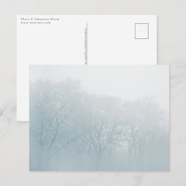 Postal Foto de la naturaleza del invierno (Anverso / Reverso)