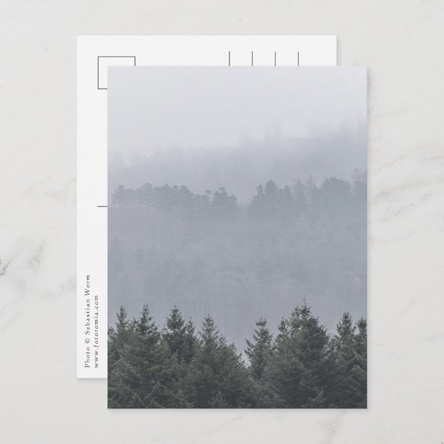 Postal Foto de la naturaleza forestal (Anverso / Reverso)