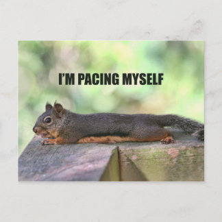 Postal Foto de Lazy Squirrel