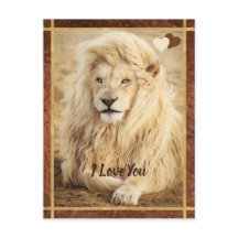 Foto de León Blanco Te Amo