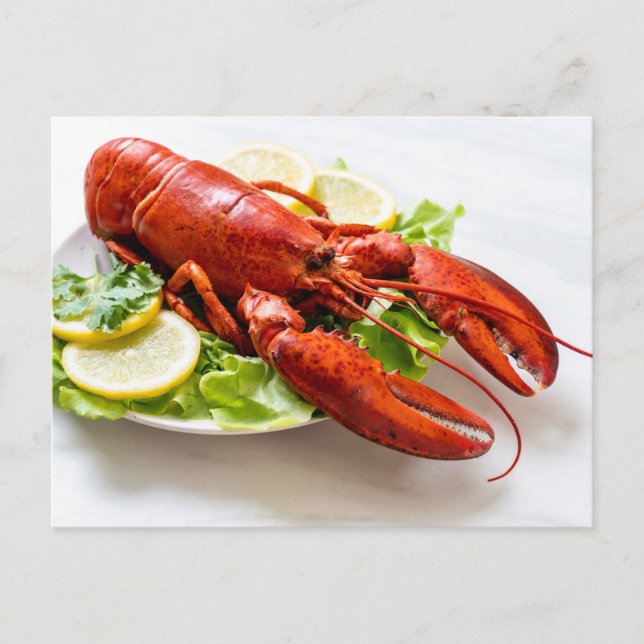 Postal Foto de Lobster (Anverso)