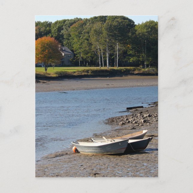 Postal Foto de Maine Rowboat Water (Anverso)