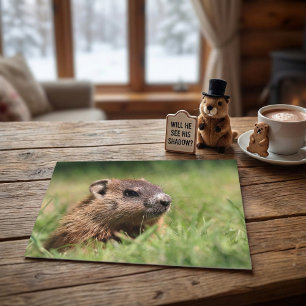 Postal Foto de marmota linda asomándose a la hierba verde