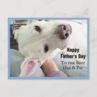 Foto de Mejor Perro Perro Cute, Mejor Papa Pal, De
