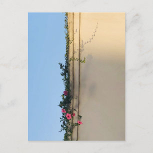 Postal Foto de momento tranquilo