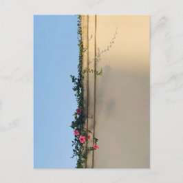 Postal Foto de momento tranquilo