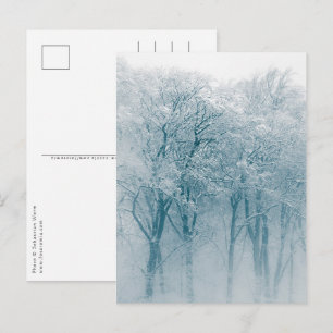 Postal Foto de naturaleza de invierno de árboles cubierto