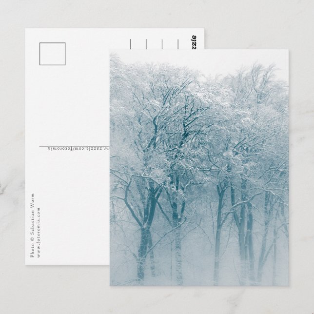 Postal Foto de naturaleza de invierno de árboles cubierto (Anverso / Reverso)