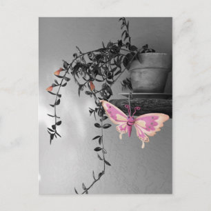 Postal Foto de Naturaleza Muerta de Mariposa con Salpicad
