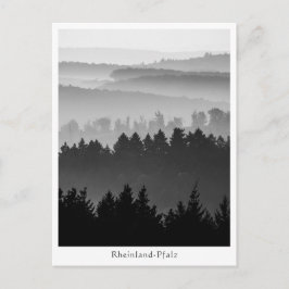 Postal Foto de paisaje de Forest Hills