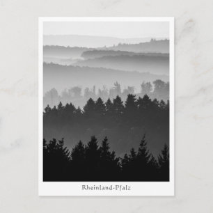 Postal Foto de paisaje de Forest Hills