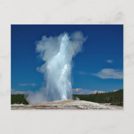 Postal Foto de paisaje de Yellowstone Old Faithful