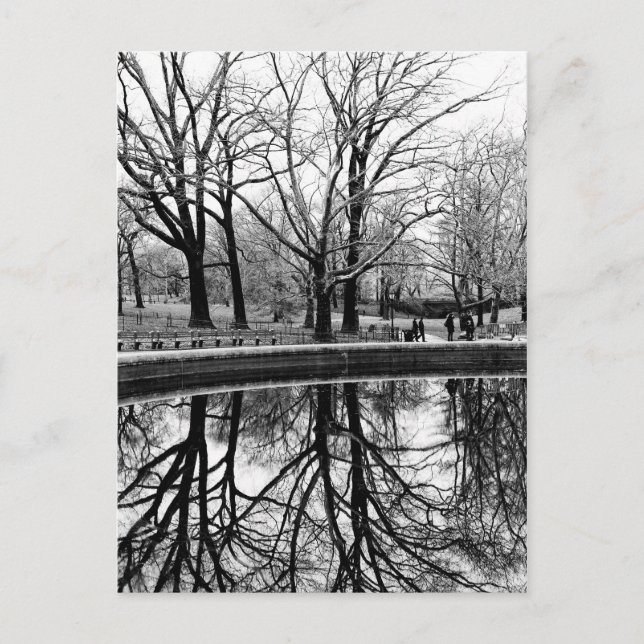 Postal Foto de paisajes en blanco y negro de Central Park (Anverso)
