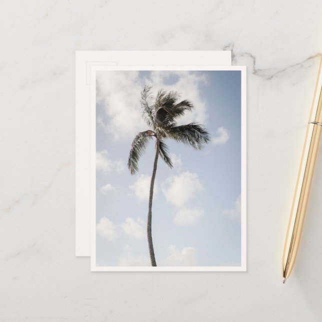 Postal Foto de palmera playa tropical Hawaii (Anverso/Reverso In Situ)