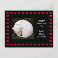 Foto de perro blanco lindo enrolado como un gato