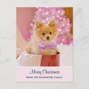 Postal Foto de perro de Navidad lindo con lazo rosa y árb
