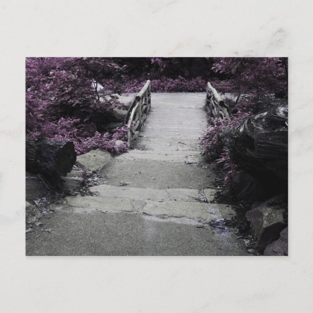 Postal Foto de puente de paisajes en blanco y negro (Anverso)