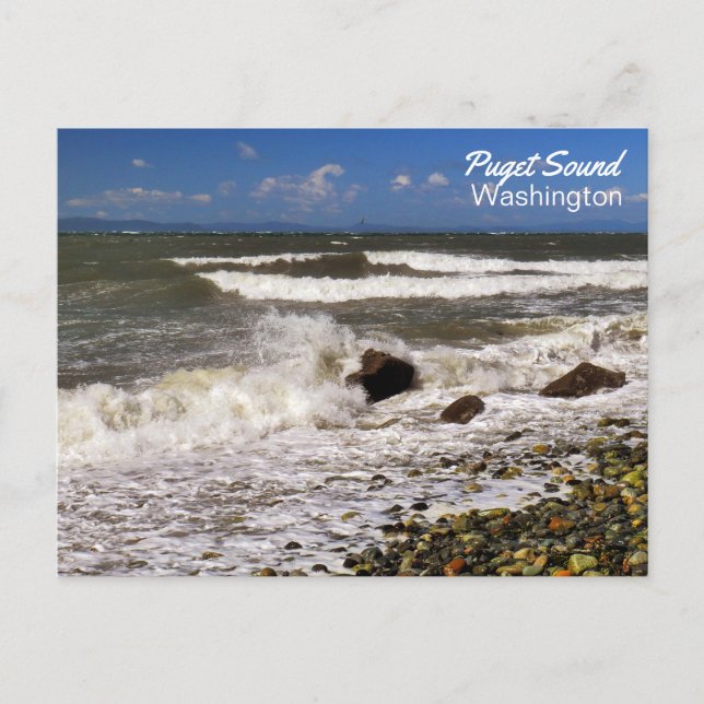 Postal Foto de Puget Sound Washington Beach (Anverso)