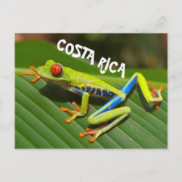 Postal Foto de rana de árbol rojo en Costa Rica