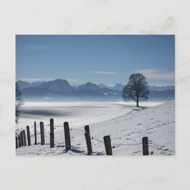 Postal Foto de Snowy Landscape (Anverso)