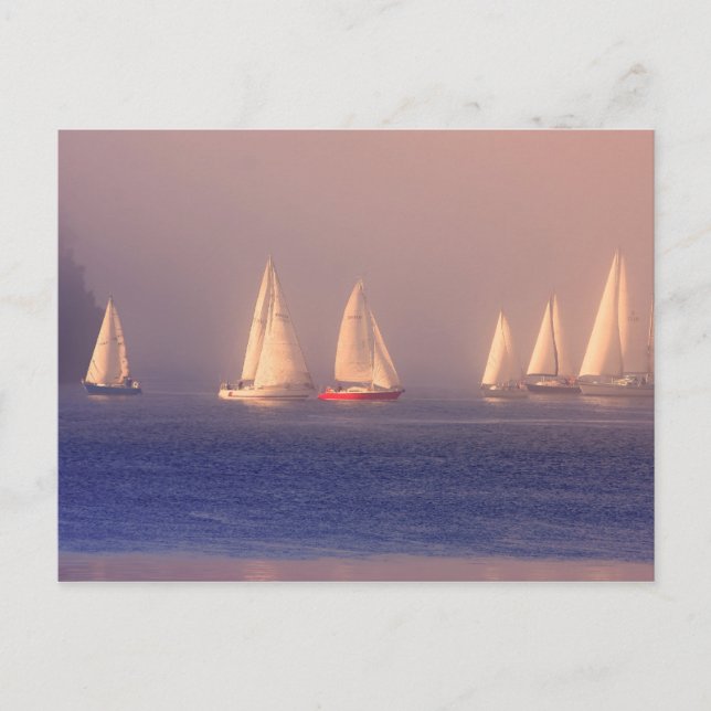 Postal Foto de Sunset Sailboat (Anverso)