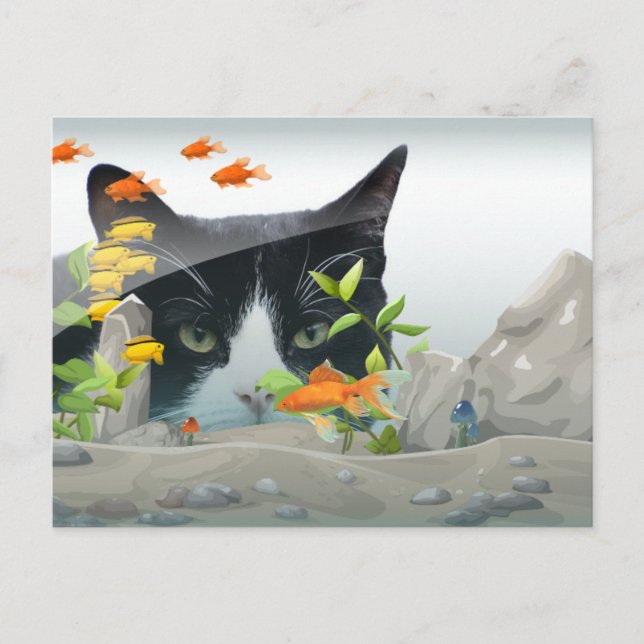 Postal Foto de un Personalizado del tanque de peces (Anverso)