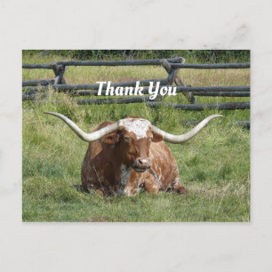 Postal Foto de vaca Texas Longhorn Gracias