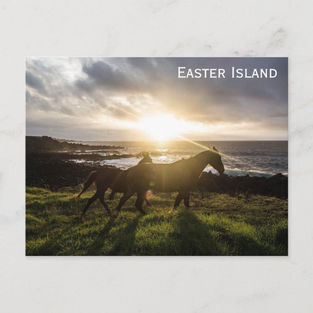 Postal Foto de viaje de caballos de Isla Pascua (Anverso)