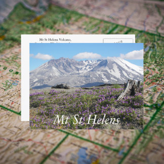 Postal Foto de viaje de Mount St Helens Wildflowers