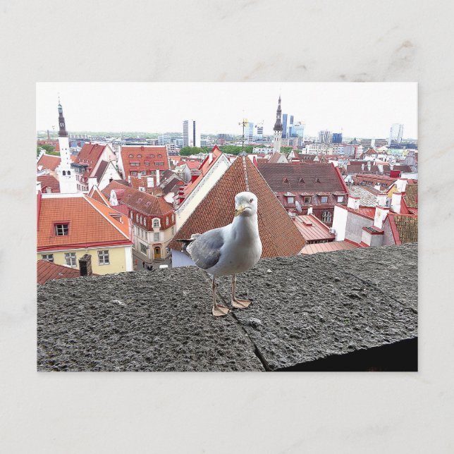 Postal Foto de viaje. Estonia, Tallinn (Anverso)