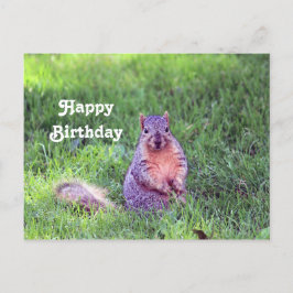 Postal Foto de vida silvestre Cute Squirrel Cumpleaños