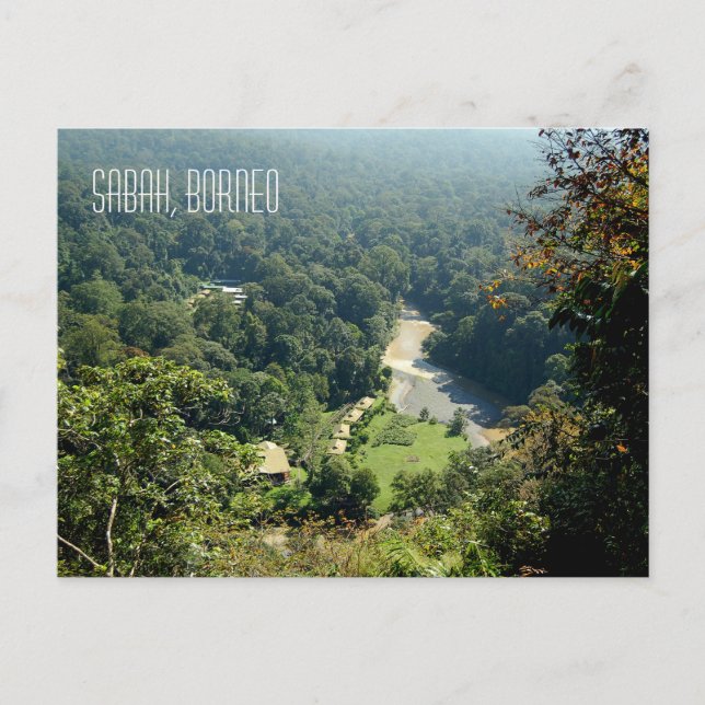 Postal Foto de vista aérea de la selva tropical de Borneo (Anverso)