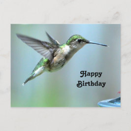 Postal Foto de vuelo verde de colibrí Cumpleaños Vida Sil