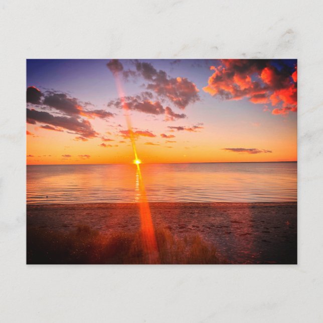 Postal Foto del atardecer en la playa de Cape Cod (Anverso)
